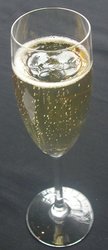 Champagne glass 1.JPG